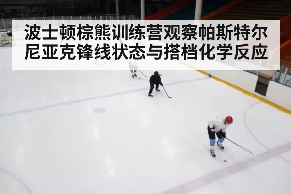 波士顿棕熊训练营观察帕斯特尔尼亚克锋线状态与搭档化学反应